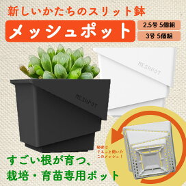 楽天市場】◇GREEN GARDEN プランターハンガー ベン ステンレス 3段型 