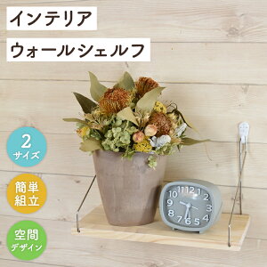 EH[VFt 30cm 60cm C I[N ؐ Ǌ| Ǖt I Lb` gC I DIY t  rO  VFt  EH[bN X i` uE 