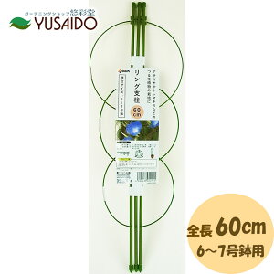第一ビニール DAIM リング支柱 60cm支柱 あんどん 園芸支柱 つる性植物 アサガオ クレマチス 安定感 簡単 ガーデニング ガーデニング用品 園芸用品