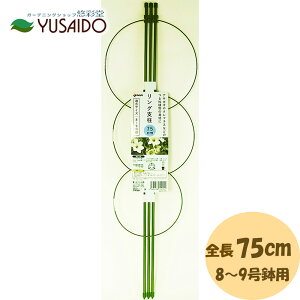 rj[ DAIM Ox 75cmx ǂ |x 鐫A ATKI N}`X 芴 ȒP K[fjO K[fjOpi |pi