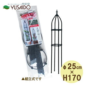 rj[ [YIxXN Oa25cm×170cm΂ o x ubN AeB[N  IV fG K[fjO |  ֐   A