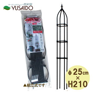 rj[ [YIxXN Oa25cm×210cm΂ o x ubN AeB[N  IV fG K[fjO |  ֐   A