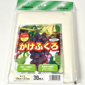 }cg  30 Ԃǂ 19X27cm}cg ʎ ܊| | Ԃǂp  100  sI[l fEGA VC}XJbg  J悯 J΍ Q΍ 悯 L܍͔| ʎ