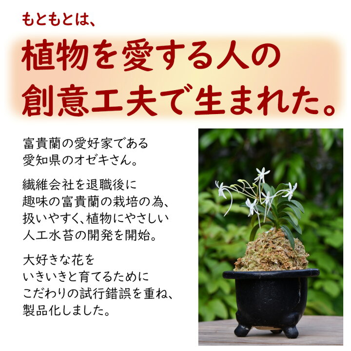 楽天市場 ギャザリング用 アート水苔 50g グリーン 長尺水苔 人工水苔 悠彩堂
