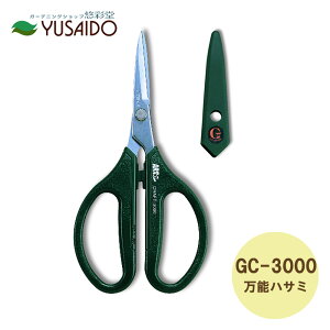 AXR[|[V \ GNVbN GC|3000 AXk[{[nT~ ͂ |  ΂   A  } K[fjO