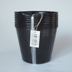 rj[ ||bg 4(12cm) 20 c c Aؔ |bg  v^[ K[fjO |
