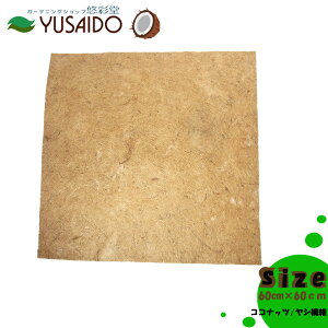 LEADSTYLE CCS060 RRV[g 60cmRRV RRibc V@ }bg V[g ʋC r K[fjO  | pi ϗtA Aؔ ۉe͐ VRf C ϋv nMO v
