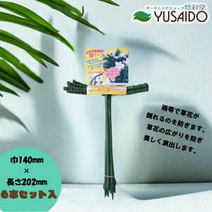 쓇H Ԃ̃|Cgx VԂ 6{Zbg E 140mm×202mmx ǂ |x  Œ ׂ~ ȒPJ^ J VRoT{e cA  Ԓd Ԃ v