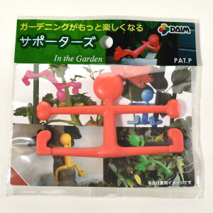 T|[^[Y bh in garden AEgbg|x x U U v^[ K[fjO K[fjOpi | |pi  fR[V