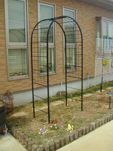 y|Cg5{zGREEN GARDEN oA[` No.280 t[A[` Ng 100×210×52(cm)o ΂ KN [Y A[` K[fA[` | K[fjOpi K[f ACA S O |