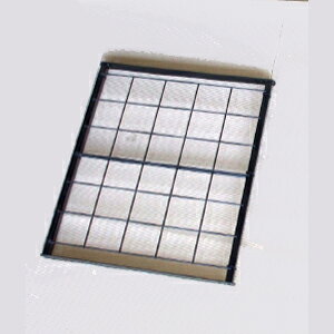 y|Cg5{zGREEN GARDEN oA[` No.284 Chi60 t[A[` Ng ppl 60(cm)o ΂ KN | K[fjOpi |pi A[` K[fjO 뉀 