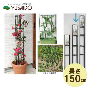 |Cg5{rj[(daim) ܂܂gX 60cm×150cm ubN 3{Zbg  O ډB tFX gX  d؂ lbg pl x ǂ IxXN ^[     