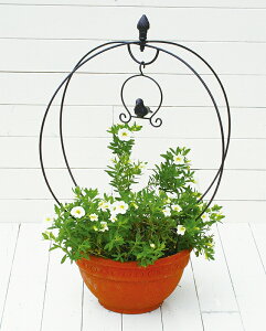 y|Cg5{z哯Ntg ABT01-A01 o[hQ[W^gsA[ EhgX tFX x t[ U K[fANZT[ 