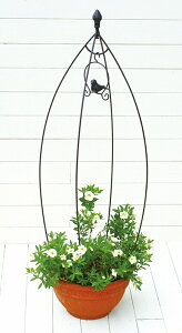 y|Cg5{z哯Ntg ABT01-B02 o[hQ[W^gsA[ I[oMgX tFX x t[ U K[fANZT[ 