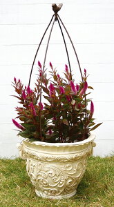 y|Cg5{z哯Ntg ABT01-B02S o[hQ[W^gsA[ I[oSgX tFX x t[ U K[fANZT[ 