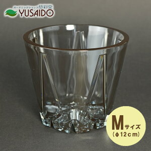 R SCOOP X[N M XN[v 4TCY 1NA  KX AN  Ǘ A O[ ϗtA ڂĂ }  K[fjO CeA ͔| fBXvC 