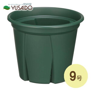 AbvEGA[ Xbg 悵 9 O[Xbg  ubN XO[  Y ͔| c y ͂ 엿 A c  ϗt R[fbNX