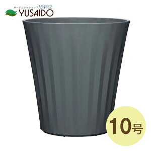 AbvEGA[ OX|bg 10 DG |bg  ϗt m O[ _ Vv a m ϗtA m VN xSjA AXE   A At [^ϔ 