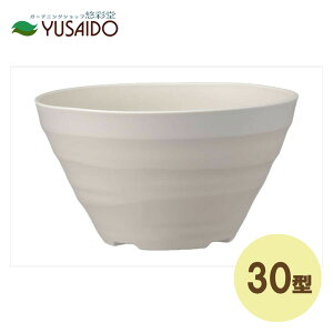 y|Cg5{zAbvEGA[ Ntg{[ 30^ zCgAؔ  y Vv i` n ~^ T[N 񂹐A [t v^[ v vX`bN K[fj