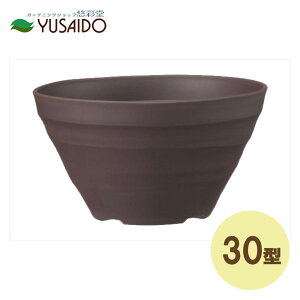 AbvEGA[ Ntg{[ 30^ _[NuEAؔ  y Vv i` n ~^ T[N 񂹐A [t v^[ v vX`bN K[fjO K[