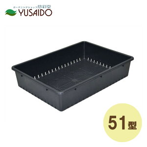 AbvEGA[ c 51^ i50.5×36cmj X~O[c ԕc c ܂ Rei[ ʋC ʐ ꌊ ꌊ\ K[fjO | |pi   Xbg ͂ y n u