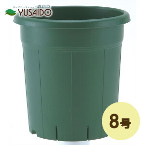 y|Cg5{zAbvEFA[ o 8 O[Aؔ v 傫 rbO TCY ^ Aւ 񂹐A o v^[ ʋC r Xbg ͂ y ΂ n O[