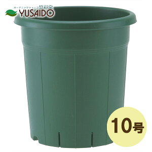 AbvEFA[ o 10 O[Aؔ v 傫 rbO TCY ^ Aւ 񂹐A o v^[ ʋC r Xbg ͂ y ΂ n O[ i` V