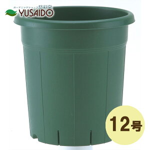 AbvEFA[ o 12 O[Aؔ v 傫 rbO TCY ^ Aւ 񂹐A o v^[ ʋC r Xbg ͂ y ΂ n O[ i` V