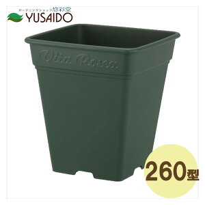 AbvEGA[ [A XNGA 260^ O[Aؔ v@傫 rbO TCY ^ i` n 񂹐A [t o v^[ ΂ lp