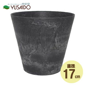 GREENPOT A[gXg[ Eh|bg a17cm ubN AS-102160 |bg    _ N[ CeA ChA O[ ϗt A p  Zg RN[g }b