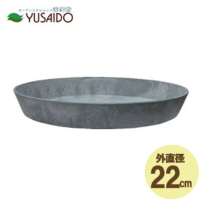 GREENPOT A[gXg[ Eh\[T[ a22cm O[ AS-120197 |bg  _ CeA ChA O[ ϗt A p  Zg RN[g }bg Vv  