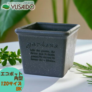y|Cg5{z gerdens A[u GR|bg p^ 120^ ubN BKXNGA Aؔ   킢 i` y v^[ K[fjO |