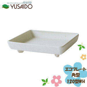  gerdens psG GRv[gp^ 120^ zCg WH 󂯎M Aؔ   킢 i` y v^[ K[fjO |