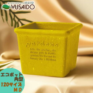  gerdens psG GR|bg p^ 120^ }X^[h MD CG[ F XNGA Aؔ   킢 i` y v^[ K[fjO | Đ Î GR eco