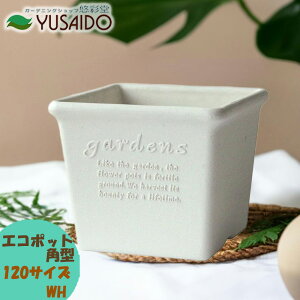 gerdens psG GR|bg p^ 120^ zCg WH XNGA Aؔ   킢 i` y v^[ K[fjO | Đ Î GR eco