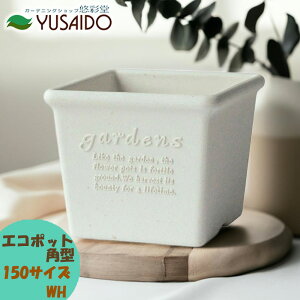 y|Cg5{z gerdens psG GR|bg p^ 150^ zCg WH XNGA Aؔ   킢 i` y v^[ K[fjO | Đ Î GR eco