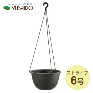 b`F ݔ nMO{[ XgCv 6 _[NO[(DG) ݔ nMO Ђ t  v^[ vX`bN  Ђ tbN |pi K[fjO O  CeA