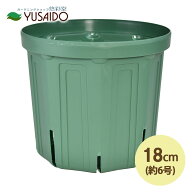 兼弥スリット鉢 18cm 6号 CSM-180 モスグリーンカネヤ スリット鉢 スリット 植木 ポット プランター POT …