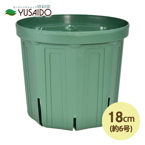 y|Cg5{zXbg 18cm 6 XO[Xbg Xbg A |bg v^[ POT c ͂蔫 K[fjO | r ʋC 