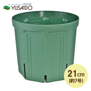Xbg 21cm 7 XO[Xbg Xbg A |bg v^[ POT c ͂蔫 K[fjO | r ʋC 