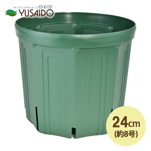 Xbg 24cm 8 XO[Xbg Xbg A |bg v^[ POT c ͂蔫 K[fjO | r ʋC 