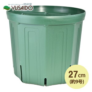 Xbg 27cm 9 XO[Xbg Xbg A |bg v^[ POT c ͂蔫 K[fjO | r ʋC 