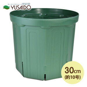 y|Cg5{zXbg 30cm 10 XO[Xbg Xbg A |bg v^[ POT c ͂蔫 K[fjO | r ʋC 