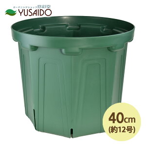 y|Cg5{zXbg 40cm 13 XO[Xbg Xbg A |bg v^[ POT c ͂蔫 K[fjO | r ʋC 