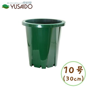 Xbg R 30cm 10 XO[Xbg Xbg A |bg v^[ POT c ͂蔫 K[fjO | r ʋC 