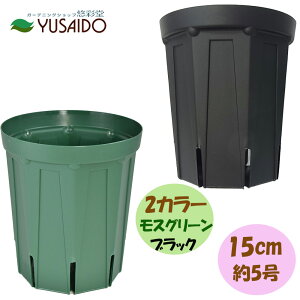 y|Cg5{zXbg OTCY 15cm 5 XO[ ubNXbg Xbg A |bg v^[ POT c ͂蔫 K[fjO | r ʋC 