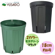 兼弥スリット鉢 ロングサイズ 18cm 6号 モスグリーン ブラック CSM-180L深型 カネヤ スリット鉢 スリット…