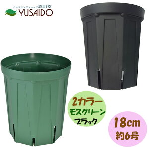 Xbg OTCY 18cm 6 XO[ ubNXbg Xbg A |bg v^[ POT c ͂蔫 K[fjO | r ʋC 