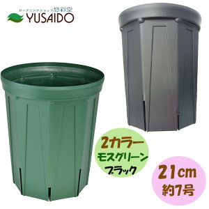 Xbg OTCY 21cm 7 XO[ ubN CSM-210L[^ Jl Xbg XbgO7 Xbg4O XbgOTCY |bg v^[ c 