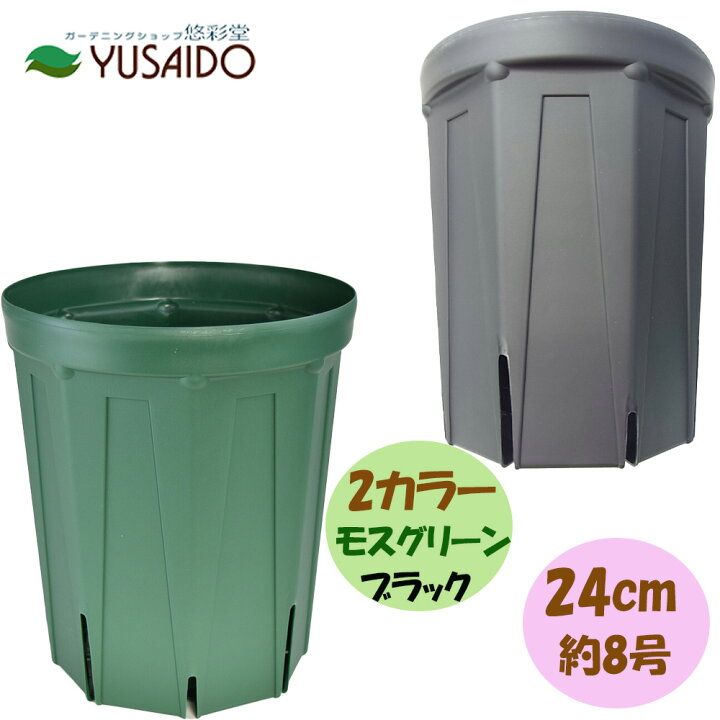 楽天市場】兼弥スリット鉢 ロングサイズ 24cm 8号 モスグリーン